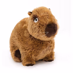 NICI Capybara