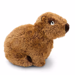 NICI Capybara