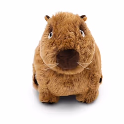 NICI Capybara