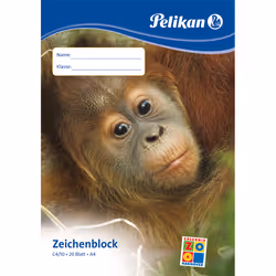 Pelikan 224824 papier créatif Papier à lettres 20 feuilles