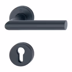 pour protection combinée - Demi-garniture de poignée de porte à rosace en acier inoxydable avec rosace à clé pour portes de f ...