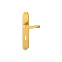 Garniture pour porte intérieure à plaque longue Poignées de porte en laiton avec connexion rapide par goupille et ressort de  ...