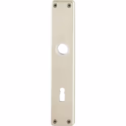 Panneaux vissés visibles longueur 215 mm, largeur 40 mm Autres caractéristiques techniques : Type de fixation : vissage visib ...