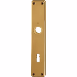 Panneaux vissés visibles longueur 215 mm, largeur 40 mm Autres caractéristiques techniques : Type de fixation : vissage visib ...