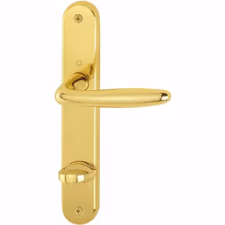 Poignee de porte Hoppe - 2857876 - Poignee de porte ROISSY - sur plaque WC 90 droite laiton poli