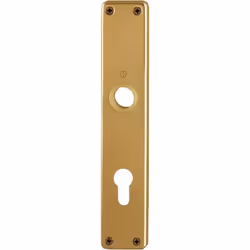 Panneaux vissés visibles longueur 215 mm, largeur 40 mm Autres caractéristiques techniques : Type de fixation : vissage visib ...