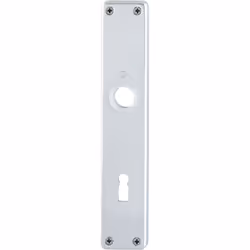 Panneaux vissés visibles longueur 215 mm, largeur 40 mm Autres caractéristiques techniques : Type de fixation : vissage visib ...
