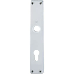 Plaque de porte longue 202SP pz 72mm F1 (Par 50)