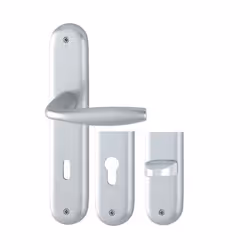 Ensemble de porte sur plaque New york - entr.165mm - Clé L - aspect inox F9 - 1810/318KN - 3398499 - ENSEMBLE SUR PLAQUE ALUM ...