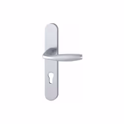 Ensemble de porte plaque large New york Clé i aspect inox F9 HOPPE - 1810/300M - 195mm - entr.7/70 C.7mm - 58/67 - 3281160