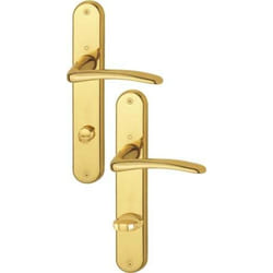 Hoppe - Garniture à plaque longue Istanbul M171/332P ms F71 sk/ol 78mm din re - 844227