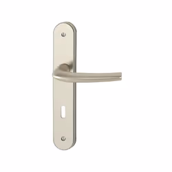 Entraxe de fixation : 195 mm. Plaques de 240 x 40 mm. Saillie de la béquille : 55 mm. Pour porte d'épaisseur 40 à 46 mm. Sur  ...