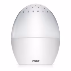 reer 52100, LED, Autonome, Garçon/Fille, Batterie