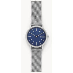 Skagen SKW2759 montre Montre bracelet Femelle Quartz Argent