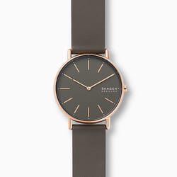 Skagen Signatur Charcoal Leather Montre bracelet Mâle Quartz Marron