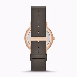 Skagen Signatur Charcoal Leather Montre bracelet Mâle Quartz Marron