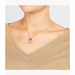 Fossil JF03265791 collier Collier matinée Femelle Acier inoxydable