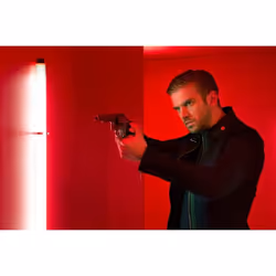 WVG The Guest DVD Allemand, Anglais