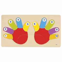 Goki 57875, 14 pièce(s), Education, 2 an(s)