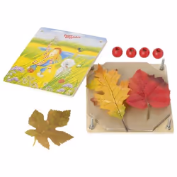 Goki Presse-fleurs, Peggy Diggledey, 3 an(s), Carton, Bois