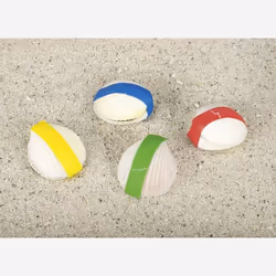 Goki Magic shell, Animaux qui grossissent dans l’eau, Eveil, Couleurs assorties
