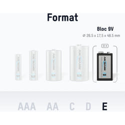 Ansmann - Piles 6F22 9V 300 mAh NiMH rechargeables (lot de 2)