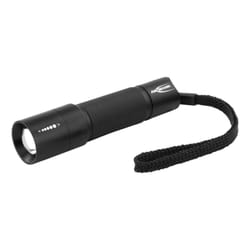 Ansmann M100F Noir Lampe torche