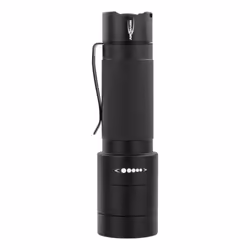 Ansmann M250F Noir Lampe torche