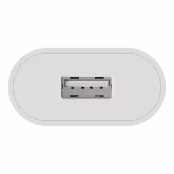 Ansmann HC105 Universel Blanc Secteur Intérieure