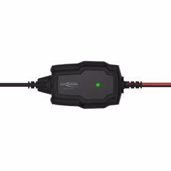 Ansmann 1001-0142 Chargeur de batterie pour véhicules 6 - 12 V Noir