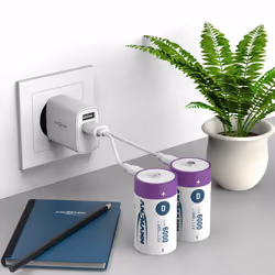 Ansmann 1314-0005 pile domestique Batterie rechargeable D Lithium-Ion (Li-Ion) - Vue supplémentaire 8