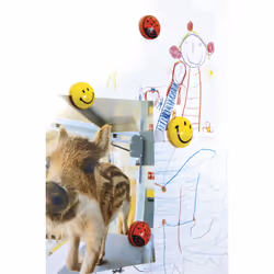 Magnetoplan 16672 Accessoire pour tableau Aimant de tableau blanc