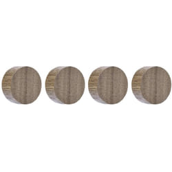 Aimant Circle (ø) 30 mm noix 4 pc(s) 1665451 - Magnetoplan