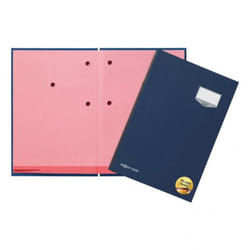 Pagna 24102-02 fichier Carton, Plastique Bleu A4