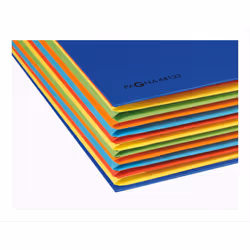 Pagna 44133-02 intercalaire de classement Carton, Papier, Polyester, Caoutchouc Bleu