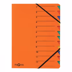 Pagna 24131-12, Carton, Orange, A4, 240 mm, 320 mm