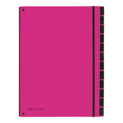 Pagna 24129-34 trieur Rose Carton, Polypropylène (PP) A4