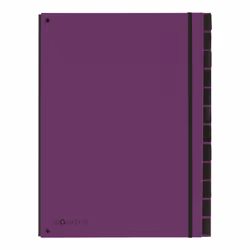 Pagna 24129-12, Violet, Carton, Polypropylène (PP), A4, 265 mm, 340 mm, 20 mm