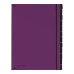 Pagna 24129-12 trieur Violet Carton, Polypropylène (PP) A4
