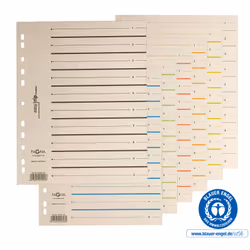 Pagna 44063-09, Beige, Carton, A4, 100 pièce(s)