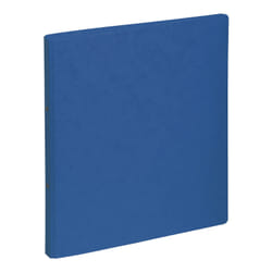 Pagna 44096-02 classeur à anneaux A4 Bleu