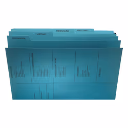 Pagna 44105-02 dossier suspendu A4 Carton Bleu 10 pièce(s) - Vue supplémentaire 5