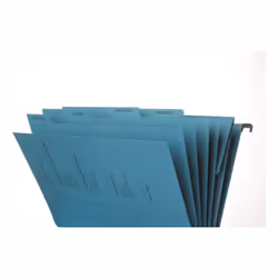 Pagna 44105-02 dossier suspendu A4 Carton Bleu 10 pièce(s) - Vue supplémentaire 6