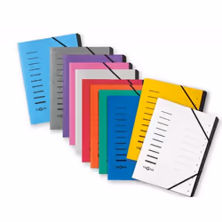 Pagna 40059-10 intercalaire de classement Violet