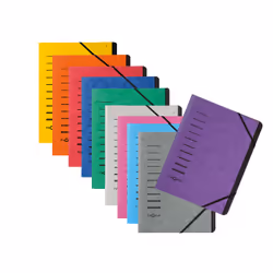 Pagna 40059-10 intercalaire de classement Violet