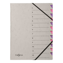 Pagna 44312-10 trieur Gris, Violet Carton A4