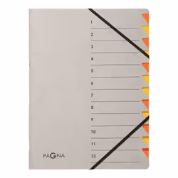 Pagna 44312-12, Gris, Orange, Carton, A4, 240 mm, 320 mm, 4 mm