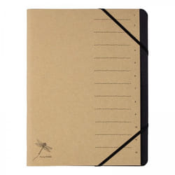 Pagna 40061-11 intercalaire de classement Porte-documents Carton Marron