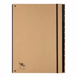 Pagna 44012-11, Porte-documents, Carton, Marron, A4, 1 pièce(s)
