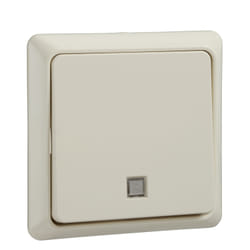 Schneider Electric 252130 interrupteur d'éclairage Thermoplastique